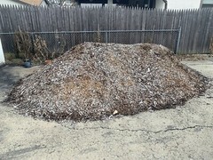 [FREE] Mulching Wood Chips