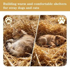 Wnj Natural Wheat Straw – 1 Lb Dry Straw Soft 100 Natural Straw Bale For Animal