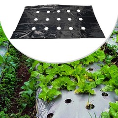 Agricultural Film Greenhouse Thickened Plastic Transparent Anti Fogging Dust