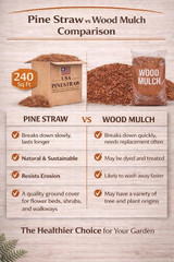 Long Needle Pine Straw Mulch – 240 Sqft Coverage 1 Set – for Landscaping