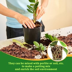 Legigo 2 Quarts Organic Orchid Potting Bark- All Natural Large, 2 Quart