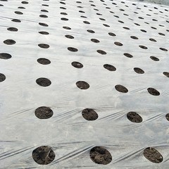 Agricultural Film Greenhouse Thickened Plastic Transparent Anti Fogging Dust