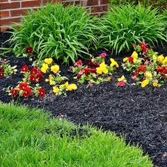 Premium Black Wood Mulch | Decorative Garden Mulch for Beds, Pathways & Planters