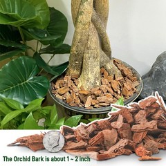 3 Quart Organic Orchid Bark for Potting-Natural Mulch 3qt, Medium