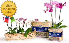 (22325) Orchid Sphagnum Moss Dried Natural 1 Pound Mini Bale