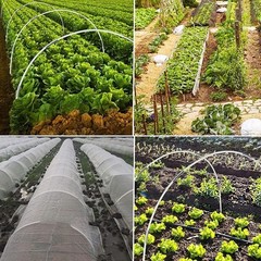 New High Quality Plant Support Tunnel Hoops DIY Fibreglass Tyres For Raised Bed