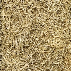 EZ-Straw Seeding Mulch with Tack, Biodegradable Straw, 11lb (Pack of 4)