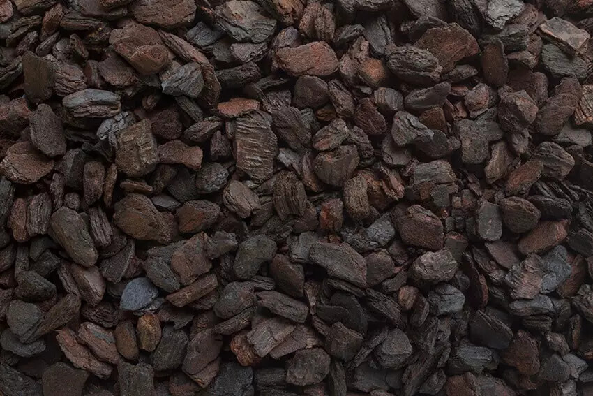 Dalton’s of New Zealand Orchiata Bark Power Plus Large Orchid/ Pine Bark Reptile