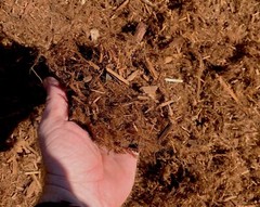 MIGHTY109 Shredded Redwood Mulch (Gorilla Hair) (48 Quarts)