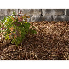2 Cu. Ft. Cedar Blend Shredded Bagged Mulch