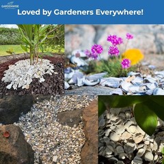 Natural Sea Shell Mulch – Decorative Coastal Shells for Garden, Pathway, Patio