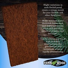 Tree Fern Orchid Mounting Board- Soft, Durable, and Fibrous | Regular 12x6x1