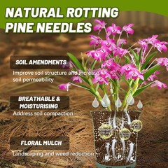 11 Oz Pine Needle Mulch for Orchid – MAQIHAN Rotting Straw for…
