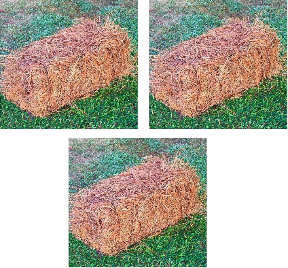 Long Needle Pine Straw Mulch 65-80 Sqft Coverage 3 Set Premium USA Harvested