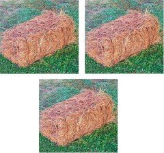 Long Needle Pine Straw Mulch 65-80 Sqft Coverage 3 Set Premium USA Harvested
