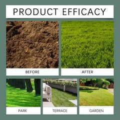 Green Ecological Blanket Plant Green Seed Growth Planting Landscape Lawn Blanket