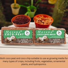 Maxona 6 Pcs Coco Coir Peat, 6.6LBS (1.1LBS/Pcs) Coconut 1.1LBS x 6, Brown