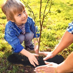 8 Pack Non-Woven Tree Mulch Ring, 16.5 Inch Degradabl Tree Protector Mat Reus…