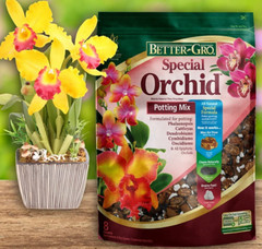 Orchid Special Potting Mix Better 4-Quart Soil Fir Bark Hardwood Charcoal