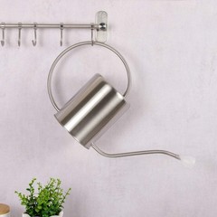 Stainless Steel Silver Colored Watering Can 1/2 Gallon Long Spout Watering Po…