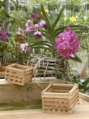 Sun Bulb 52720 Better GRO Square Cedar Basket 8
