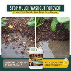 Lockdown Sticky Mulch Glue for Landscaping (64 Ounce) – Lasts Up to 2 Years, Non