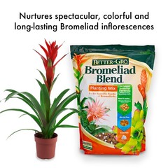 Better-Gro Bromeliad Blend 8 Quart 8 quarts, Brown