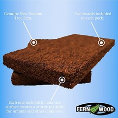 Tree Fern Orchid Mounting Board- Soft, Durable, and Fibrous | Regular 12x6x1