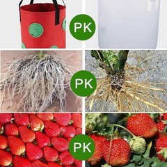 Set of 3 Hanging Tomato Planters Upside Down Strawberry Vegetable Grow Bags 3 Ga