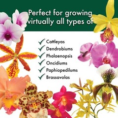 Sun Bulb 50000 Better Gro Special Orchid Mix, 4-Quart