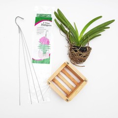 Sun Bulb 52720 Better GRO Square Cedar Basket 8