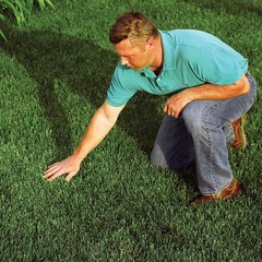 Seeding Mulch W/ Tack Biodegradable Processed Straw 2.5 cu. ft. Bale Covers up