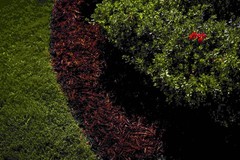 COLORBACK Brown Mulch Dye, 3,200 Square Feet 32 Fl Oz (1 quart),