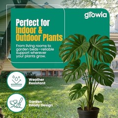 6 Pack Metal Plant Stem Supports for Indoor Plants (Green) – Houseplant