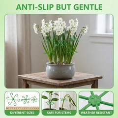 Opasyo 16PCS Plant Stem Support for Indoor Plants, Climbing Houseplant Stem S…