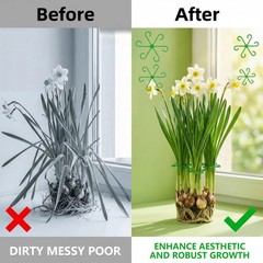 Opasyo 16PCS Plant Stem Support for Indoor Plants, Climbing Houseplant Stem S…