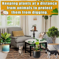 6-Piece 17.8 In. Brown Coconut Fibers Mulch Ring Tree Protector Mat for Tree Pro