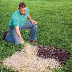 EZ Straw Seeding Mulch with Tack, 2.5 Cubic Feet (Pack of 3)