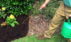 Black Forest Mulch Dye 32 Oz Refresh Old Mulch Safe For Plants Pets 2400 Sq Ft