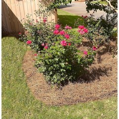 Organic Pine Straw Mulch Weed Control Soil Moisture Retention Garden Landscaping