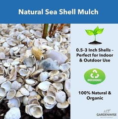 Natural Sea Shell Mulch – Decorative Coastal Shells for Garden, Pathway, Patio