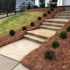 Garden Elements Long Leaf Pine Straw Bale, 1″ Depth Covers 70 Sq Ft