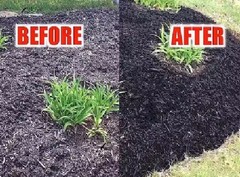 Mulch Brite Mulch Colorant Dye BLACK Covers Up To 150 Sq Ft