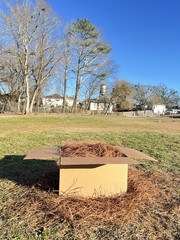 Pine Straw Mulch Long Needle -Covers Up To 80 SQ FT