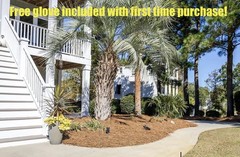 Pine Straw Mulch Long Needle -Covers Up To 80 SQ FT