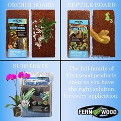 Tree Fern Orchid Mounting Board- Soft, Durable, and Fibrous | Regular 12x6x1