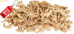 Orchid Sphagnum Moss Dried Natural 1LB Mini Bale Potting Reptile Plants – US