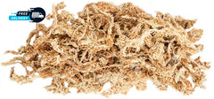 (22325) Orchid Sphagnum Moss Dried Natural 1 Pound Mini Bale