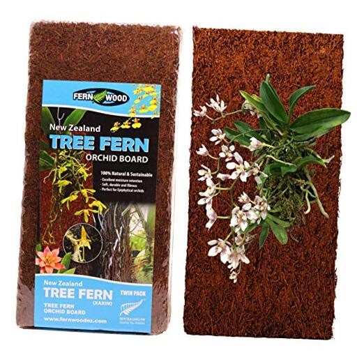 Tree Fern Orchid Mounting Board- Soft, Durable, and Fibrous | Regular 12x6x1