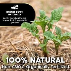 Mini Straw Bale (2lb) – 100% Natural Wheat Straw for Gardening & Pet Bedding